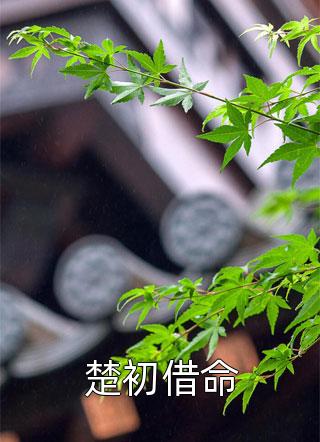 小说不当舔狗后，校花求我pua