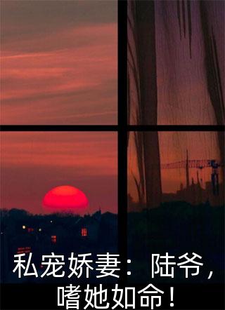 畅销巨作夏挽烟江淮