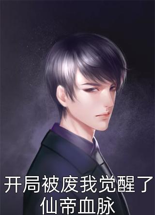 明末之力挽狂澜畅销巨作